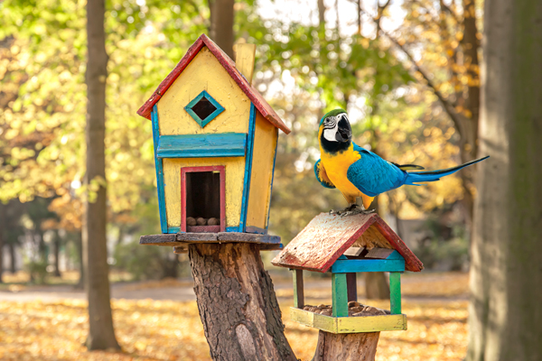 30 Summer Activities To Enjoy With Kids And Family
