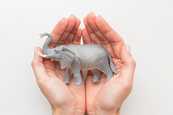 Exploring Global Gift-Giving Practices