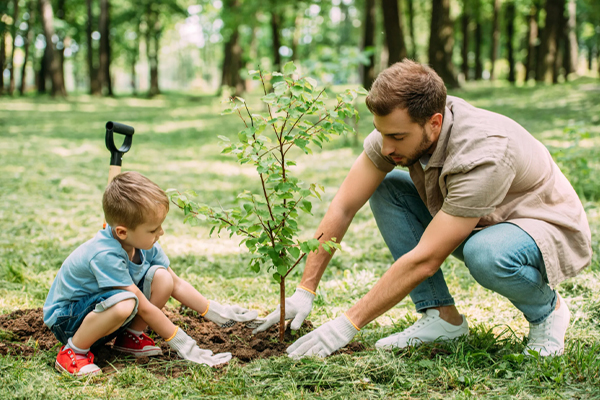Wacky Family Reunion Activities To Make Unforgettable Memories