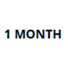 1 Month | mSpy