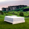 Evaya Original Mattress with PillowTopper : Evaya Organics