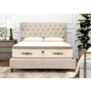 Hybrid Latex Mattress The Luxury Bliss : Plushbeds