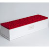 140 Roses Box - Amarantelondon.com 