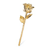 24K Gold Dipped Forever Rose : The Forever Rose