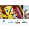 3 Park Ticket : WB World Abudhabi