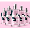 50ml x5 Bundle Male & Female : Smel