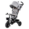 6 In 1 Tricycle | Baby Walz