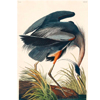 Blue Heron Vintage Antique Bird | Ink And Drop