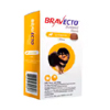  Bravecto - Budget Pet Care