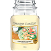 Christmas Cookie - Candles Direct