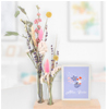 Dried Flower Box : Blumenshop