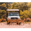 Explore Southern Africa | Intrepidtravel.com