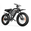 Helokeep K6 Pro Moped-Style Ebike - Helokeep