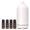 Immune Booster Diffuser Bundle | Kotanical