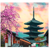 Japan : SKR