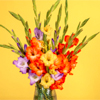 Joyful Wishes : Serenata Flowers