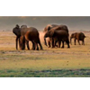 Kenya Off To The South - Afrika Safari Urlaub