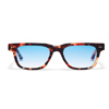 Ladbroke Sunglasses : Taylor Morris Eyewear