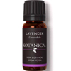 Lavender Essential Oil : Kotanical.com