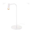 LED Indoor Table Lamp - Leuchtmittel-verkauf.de