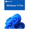 Microsoft Windows 11 Pro : Mysoftware