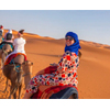 Morocco Highlights - Intrepid Travel 