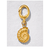 Nautilus Gold Shell Charm : Ashianalondon.com