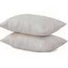 Organic Cotton Pillow : Pillow Factory