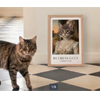 Portrait Of Cats Or Dogs : Smartphoto.co.uk