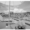 Premium Superior Room | Gardenhotels.com