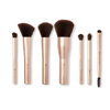 Professional Brush Collection - Beautifect