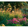 Professional Planting Design | LearningWithExperts