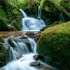 Small Waterfall In The German Black Forest - Pictorem