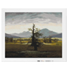 The Lonely Tree : Malango