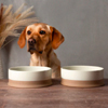 Tip Pet Food & Water Bowl Cream - Pets Love Scruffs