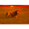 Tsavo and beach : Afrika Safari Urlaub