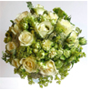 White and Green | Floom