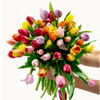 A Tulip For Everyone - Bloomsybox.com