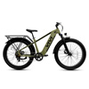 Ace01 Electric Bike : VivieBikes