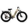 Ace07 Electric Bike , Viviebikes.com