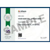 Alison Certificate : Alison