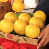 Citrus Lovers Club - 3 Months - Hale Groves