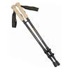 Alliance Trekking Poles : Alps Outdoorz