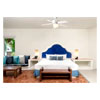 Allure Suite | Desireexperience