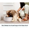  Always Full Pet Bowl - Always Full