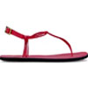 Amalfi Women Sandal : Groundies