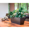 American Essence Tucson Plastic | ePlanters.com