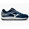 Mizuno Grass Shoes : Eapavi.iv