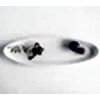 Appetizer Tray - Haand.us