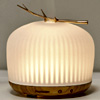 Arooma - Aroma Diffuser & Humidifier : Prozis.com